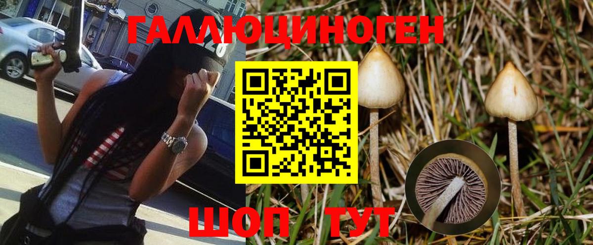 Псилоцибиновые грибы MAGIC MUSHROOMS  Вход с VPN  Знаменск  Псилоцибиновые грибы прущие грибы 